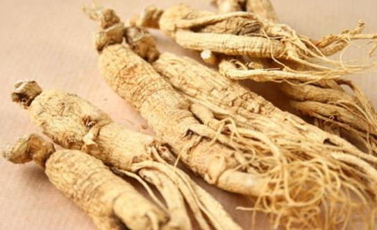 Phần chân của sâm lâu năm thường to, rắn chắc và nhìn bằng mắt có thể phân biệt rõ ràng với các rễ sâm bên cạnh. Mỗi năm tuổi của củ sâm cũng được thể hiện bằng cách sinh thêm một đốt trên phần rễ củ. Cách đếm: từ chân củ nếu sinh ra một đốt thì nghĩa là nhân sâm 2 năm tuổi, 2 đốt là 3 năm tuổi… 5 đốt là sâm 6 năm tuổi.