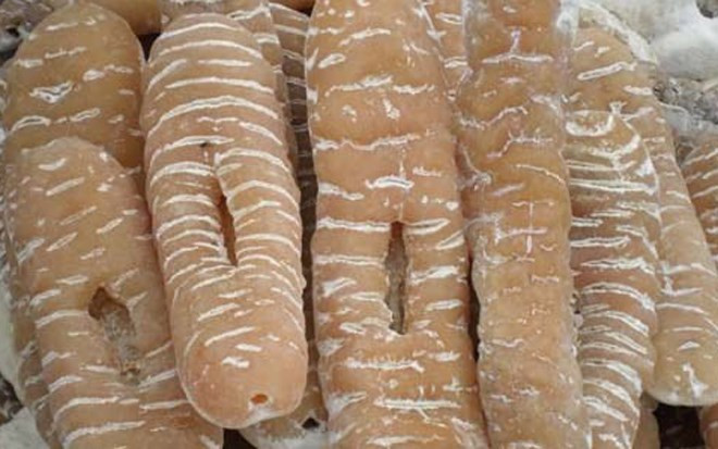 Có những tàu cá của ngư dân vùng Lý Sơn đánh bắt được trên 1.000 con hải sâm đạt chất lượng loại một, với trọng lượng đạt trên 1,6 tấn. Với giá hải sâm như hiện nay từ 850.000-900.000 đồng/kg, trừ chi phí phiên biển, tiền lãi trên 1,5 tỷ đồng, mỗi lao động đi trên tàu cho thu nhập khoảng trên dưới 80 triệu đồng.