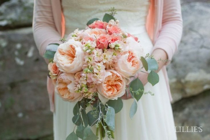 Chi phí cho một bó hoa hồng Juliet từng được "đội" lên 15 triệu USD (hơn 330 tỉ)/bó. Nhờ vẻ đẹp nhẹ nhàng, tinh tế, mùi thơm nhẹ nhàng quyến rũ, bông hồng Juliet rất phù hợp để trang trí, làm hoa cầm tay trong đám cưới.
