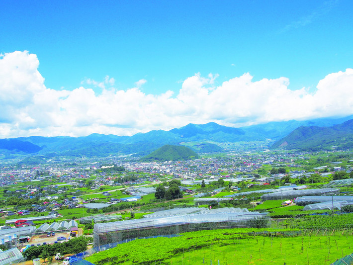 Thành phố Yamanashi thuộc tỉnh Yamanashi nằm ở miền Trung nước Nhật, tiếp giáp với thủ đô Tokyo về phía tây được ví là thủ phủ của các loại hoa quả ngon. Hoa quả Nhật Bản từ vùng đất này có nhiều loại nổi tiếng. Đặc biệt, các loại rượu vang làm từ nho trồng ở Koshu -Yamanashi lừng danh trên khắp thế giới.
