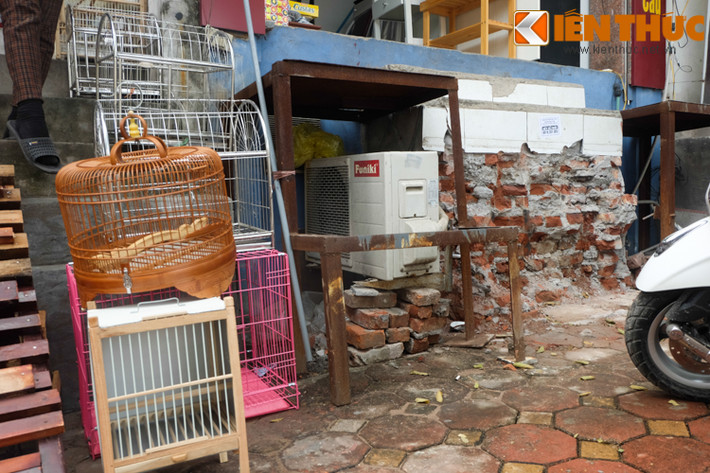Chiếc kệ sắt dùng để bày hàng hóa trước đây, nay được chủ một cửa hàng kinh doanh nội thất tận dụng làm chiếc thang bất đắc dĩ mỗi khi ra vào.