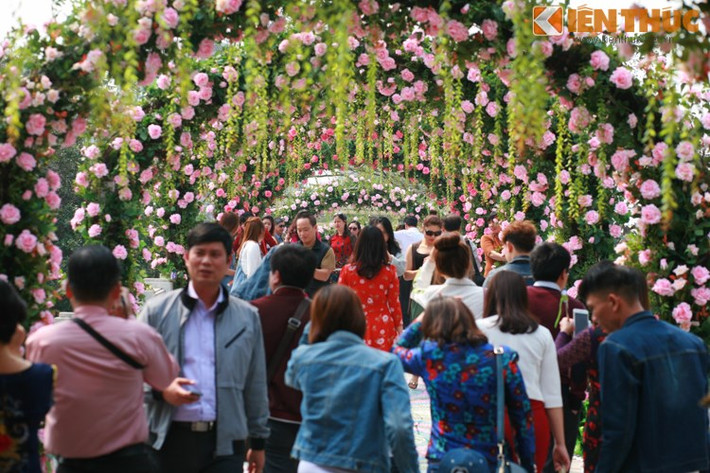 Trước những phản ánh của báo chí, sở Văn hoá - Thể thao Hà Nội có văn bản gửi Ban Tổ chức "Lễ hội hoa hồng Bungaria và bạn bè" yêu cầu thay thế hoa giả thành hoa thật và yêu cầu Ban tổ chức lễ hội kiểm tra, khắc phục ngay những hạn chế nêu trên đồng thời có văn bản báo cáo Sở và trả lời các cơ quan báo chí trước ngày 6/3.