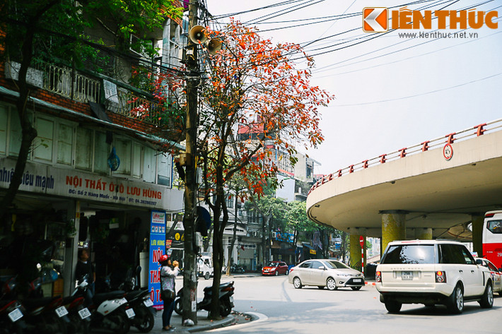 Những người yêu Hà Nội dừng chân góc phố để lưu lại cảnh sắc đầy bâng khuâng, lãng mạn của Thủ đô.