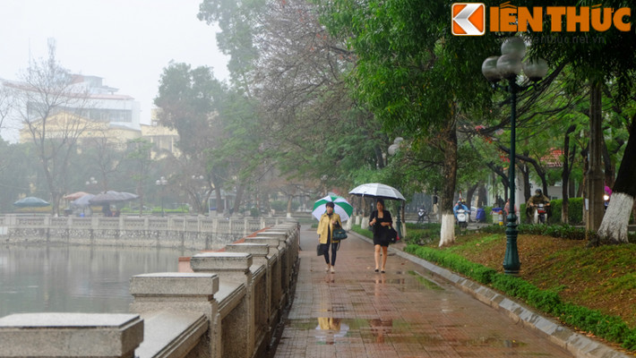 Tuy hiện tượng thời tiết nồm ẩm, mưa mù gây khó chịu, song cũng có những người thư giãn thả bộ dưới hàng cây, tận hưởng một Hà Nội thật khác trong những ngày này.