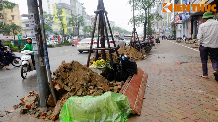 Các gốc cây ngập đất đá, gỗ, rác thải.
