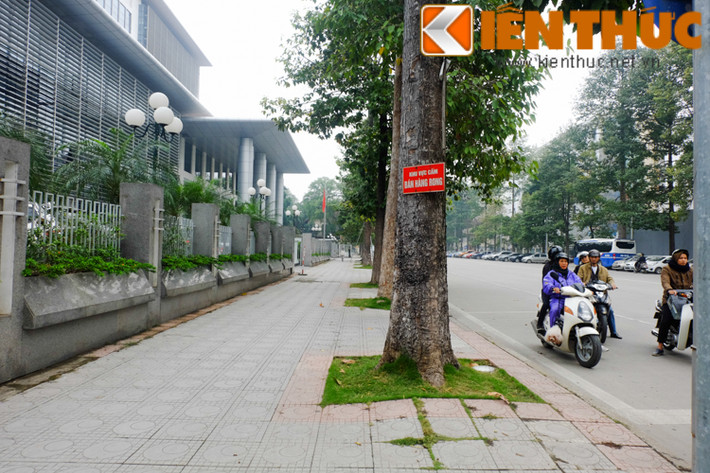 Trái ngược với cảnh ồn ã, xô bồ tại nhiều con phố, Hà Nội vẫn có những góc rất bình yên như thế này.