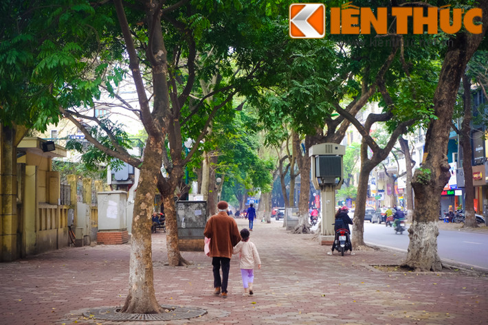Bất cứ ai cũng muốn nán lại ngắm con đường đầy thơ mộng này.