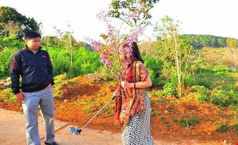 Cũng trong tuần qua, thông tin vụ việc phó giám đốc Sở bẻ hoa anh đào ở Đà Lạt tiếp tục gây xôn xao dư luận. Sau đó, bà Phạm Thị Minh Hiếu, Phó giám đốc Sở Tư pháp tỉnh Bình Thuận đã viết thư xin lỗi gửi các cơ quan báo chí về việc bà đã gây ra những dư luận không tốt, gây ảnh hưởng đến tập thể cơ quan, địa phương tỉnh nhà… Đồng thời gửi lời xin lỗi đến nhóm thanh niên có liên quan tới vụ việc hoa anh đào tại Đà Lạt. Ảnh: N.A.T.