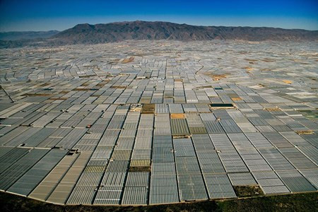Khung cảnh được bao phủ toàn bộ bởi nhà kính ở Almeria, Tây Ban Nha.
