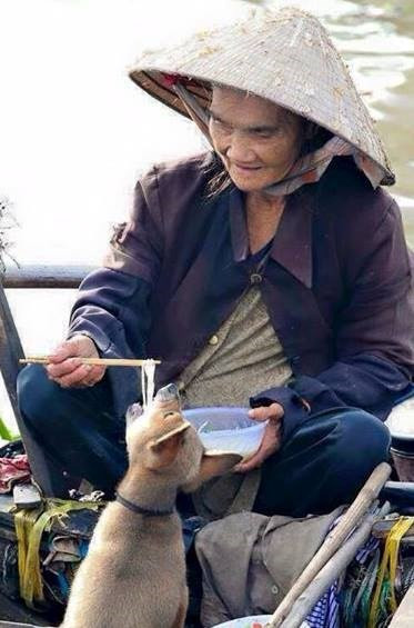 Ảnh đẹp về tình cảm người và chó.