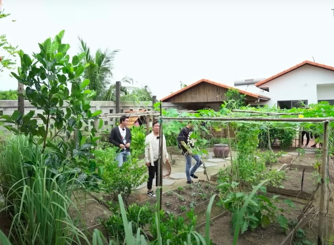 Khu vườn thỏa mãn đam mê trồng trọt của Trường Giang. Ảnh chụp màn hình