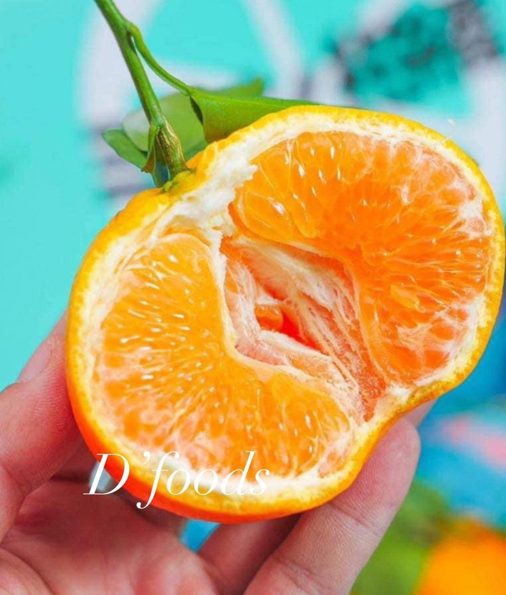 Đặc biệt, quýt chum có vị ngọt thơm đặc trưng pha chút vị chua thanh. Ảnh:D'foods