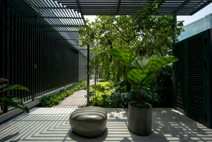 Ký ức về con đường cát lún dẫn từ cổng nhỏ vào nhà, hai bên là hai hàng mía dài được thay thế bằng hai hàng mãng cầu, rồi đến dãy nhà trọ.