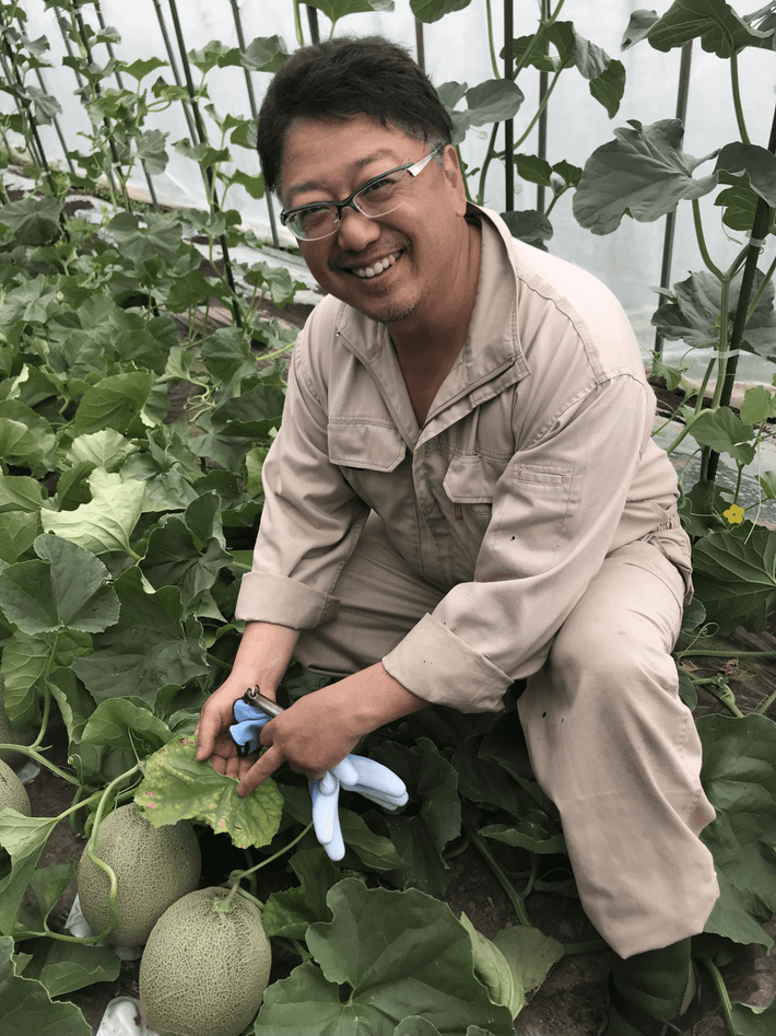 Một lý do nữa khiến dưa lưới Yubari King đắt đỏ là quá trình trồng và chăm sóc vô cùng tỉ mỉ. Ảnh: Masai Mara