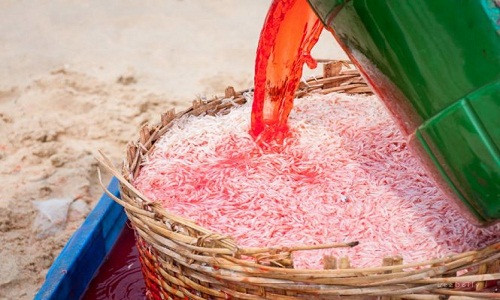 Ngày 23/3, những hình ảnh chia sẻ trên trang Facebook của My Lê đã khiến cộng đồng mạng "dậy sóng". Nghi vấn nhuộm đỏ ruốc bằng hóa chất tại Gành Đỏ (Phú Yên) khiến nhiều người lo lắng làm sao để chọn ruốc tươi ngon, không nguy hại cho sức khỏe.
