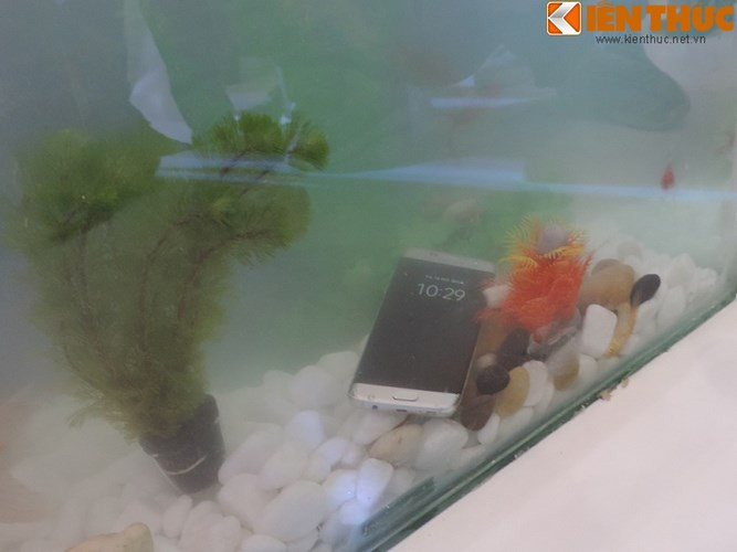Theo anh Anh Sơn (chuyên viên kỹ thuật tại công ty sửa chữa điện thoại Sơn Minh - Hà Nội): "Mặc dù được đánh giá khá cao về thiết kế, cấu hình, song vẫn có những lý do mà bạn không nên mua Samsung Galaxy S7 lúc này. Trước hết, đây là thời điểm giá của sản phẩm chưa thực sự ổn định, dòng xách tay và chính hãng vẫn có sự chênh lệch". Ảnh thử nghiệm khả năng chống nước của S7.