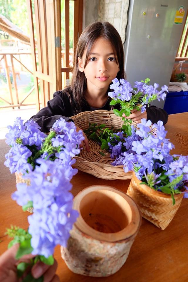 Những bông hoa được hái trong vườn.