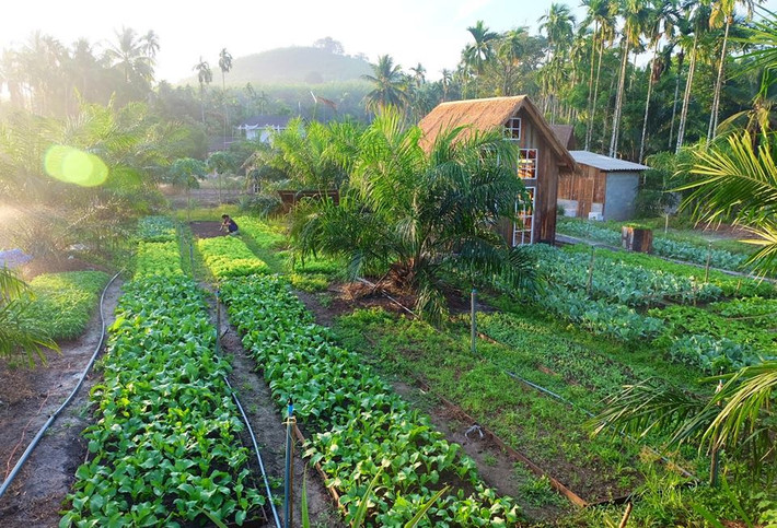 Ngắm hình ảnh về khu vườn, không gian sống tại đây, không khó hiểu khi khu nghỉ dưỡng sinh thái này khiến dân mạng thích thú đến vậy.