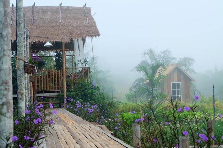Một lối đi ngập sắc hoa.