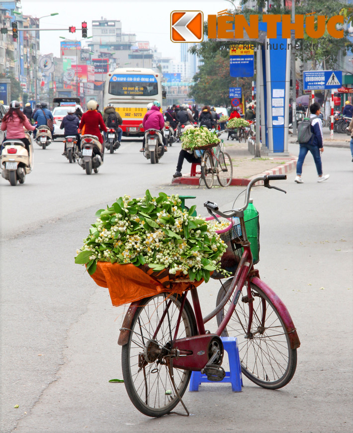 Hương bưởi ngập tràn các con phố, khu chợ. Không khó để tìm được gánh hàng hoa bưởi trên các con phố Hà Nội như Kim Liên, Xã Đàn, Giảng Võ...