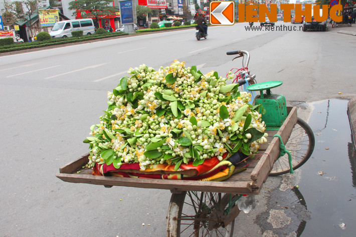 Chị Huế (một người bán hàng) chia sẻ: "Trung bình mỗi ngày chị lấy từ 7kg hoa bưởi đi bán, đến cuối này, nếu may mắn có thể bán được đến 5kg".