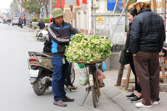 Mua hoa bưởi đã dần trở thành thú vui, niềm yêu thích của người dân Hà Nội mỗi đợt tháng 3 về.