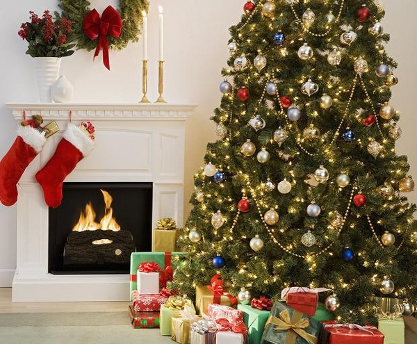 Thuê cây thông Noel sẽ giúp bạn tiết kiệm chi phí hơn là mua đứt chúng. Giá thuê thường rẻ hơn khoảng 1/2 cho đến 2/3 giá bán, hơn nữa, bạn có thể chọn cây kích thước khác nhau phù hợp với từng không gian nhà và ý tưởng trang trí thay đổi cho từng mùa giáng sinh. Hầu hết chỉ có doanh nghiệp mua sẵn cây để "xài" nhiều năm liên tiếp.