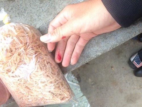 Theo chia sẻ của một ngư dân, người này chọn dùng phẩm màu để nhuộm ruốc, giá phẩm màu chỉ 17.000 đồng/lạng. Ngoài ra, một số hộ dùng phẩm sơn màu tường nhà, mua tại nhà vật liệu xây dựng để phù phép cho ruốc có màu đỏ tươi ngon. Khi nấu, chế biến ruốc sẽ thấy màu đỏ thuộc nhuộm phai ra - thông tin trên báo Dân Việt cho hay. Ảnh: Dân Việt.