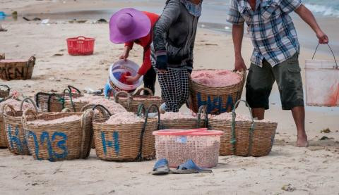 Mỗi gói hóa chất được người dân Gành Đỏ (Phú Yên) sử dụng, khi pha với khoảng 30 lít nước biển sẽ nhuộm được 100 kg ruốc tươi.