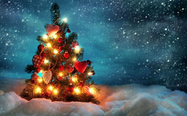 Bộ hình nền điện thoại cây thông Noel có phù hợp với mọi smartphone, giúp bạn có những hình ảnh sống động cho dế yêu.