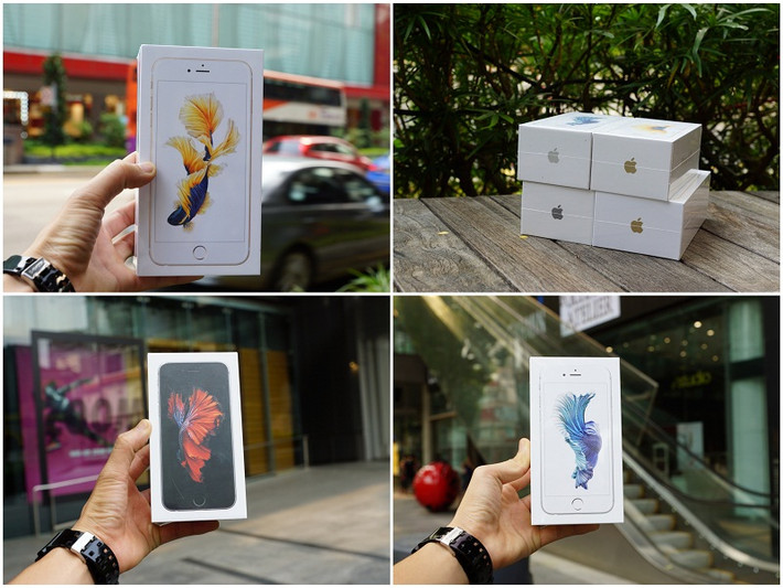 Nếu khách hàng mua iPhone 6S màu xám đen, thì sẽ có một bức ảnh của một chiếc điện thoại màu đen và một con cá xiêm màu xanh đỏ ở hình nền. Đồng thời hai bên cạnh hộp cũng có tên iPhone 6S thay vì chỉ iPhone như trước đó.