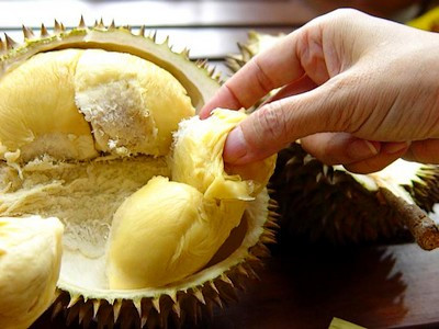 Với những quả sầu riêng có khe nứt, khi ấn tay vào sẽ thấy thịt quả cứng như đá, còn tay sẽ có màu vàng như vừa sờ vào thuốc nhuộm thì không nên mua. Thường quả như vậy là non hoặc sượng.