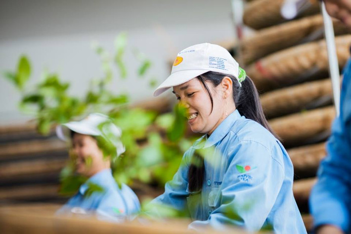 Năm 2014, công ty TNHH Hà Linh đã tổ chức đêm tiệc trà lớn nhất Việt Nam, “Đại tiệc trà kỷ lục Việt Nam” tại quảng trường Lâm Viên (TP Đà Lạt - Lâm Đồng) với hơn 5000 người tham gia.