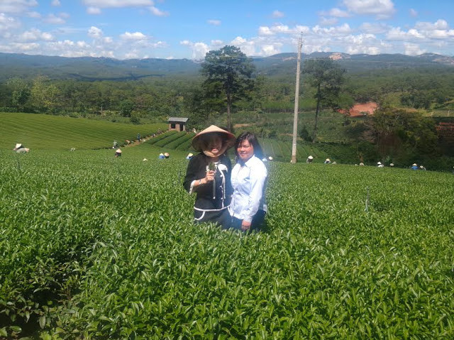 Hình ảnh doanh nhân Hà Linh (bên trái) trong lần đi thăm nông trường chè của công ty Hà Linh.