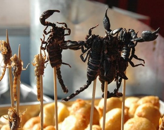 Bọ cạp có độc cũng là món ăn khoái khẩu của không ít đại gia "ưa cảm giác mạnh". Mặc dù các nhà hàng đã cam kết loại bỏ độc tố trong bọ cạp, song hình dáng ghê rợn của chúng khiến không ít người lắc đầu lè lưỡi.