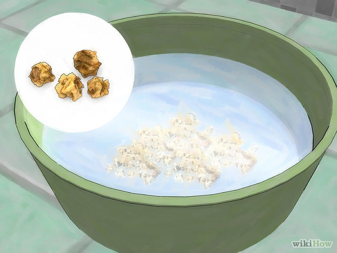 Trước tiên, bạn ngâm hạt giống củ cải đỏ vào nước ấm khoảng 3-5h. . Chờ đến khi hạt xuất hiện vết nứt nhỏ thì đem trồng ra đất.