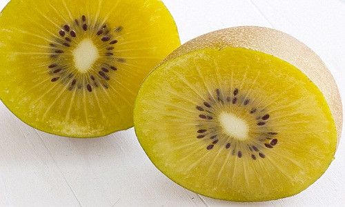 Sở dĩ quả kiwi vàng đắt đỏ vì chúng được trồng bởi một quy trình khép kín, được chăm sóc bởi hệ thống công nghệ tự động hiện đại.