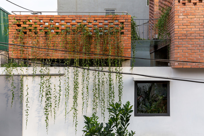 Tường gạch lỗ còn làm nền để hệ cây leo “thả dáng”. Nguồn ảnh: Archdaily