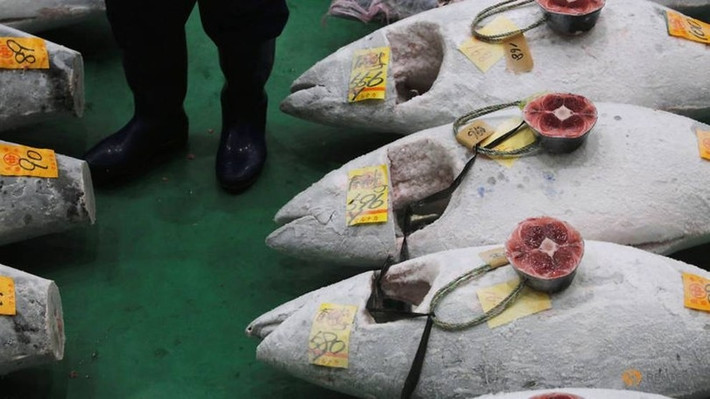 Năm 2020, ông Kiyoshi Kimura bỏ ra 1,8 triệu USD để mua về con cá ngừ vây xanh nặng 276 kg trong buổi đấu giá ở chợ Toyosu, Tokyo. Ảnh: Getty