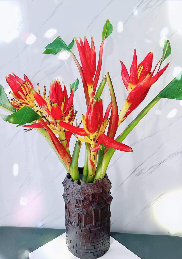 Chuối rừng là loại cây mọc hoang dã, chủ yếu xuất hiện tại các tỉnh miền núi phía Bắc như Lạng Sơn, Lào Cai, Tuyên Quang, Hà Giang. Ở mỗi vùng, tùy theo thổ nhưỡng, khí hậu mà hoa chuối rừng có màu sắc, vẻ đẹp khác nhau. Ảnh: Facebook