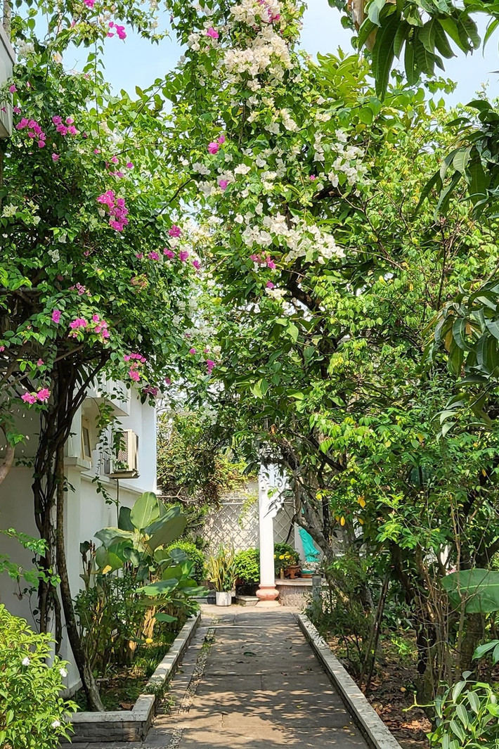 Cổng vào trồng hoa giấy và nhiều cây hoa, cây ăn trái.