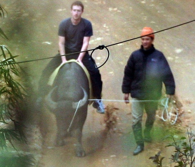 Mark Zuckerberg cưỡi trâu và thưởng ngoạn quang cảnh Sapa. CEO Mark Zuckerberg hiện sở hữu 179,5 tỷ USD, là người giàu thứ 4 trên thế giới. Ảnh: Getty