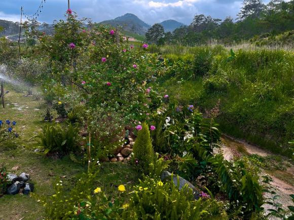 Chỉ ngắm ảnh thôi mà nhiều người còn ngỡ như lạc vào chốn 'bồng lai tiên cảnh".