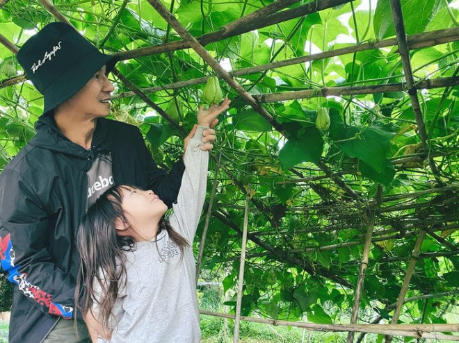 Ngoài hoa, vợ chồng Lý Hải - Minh Hà còn trồng rất nhiều rau củ quả và cây ăn trái.