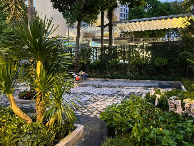 Căn biệt thự được thiết kế theo phong cách hiện đại, không gian mở và nhiều cây xanh. Ảnh: FBVN