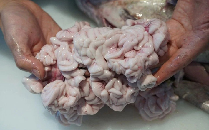 Thời gian qua, không ít nhà giàu Việt sẵn sàng chi tới gần 3 triệu đồng/kg để lùng mua tinh hoàn cá. Đây là đặc sản nổi tiếng ở Nhật Bản, được ví như "thần dược" cho quý ông. Ảnh: Moshimoshi