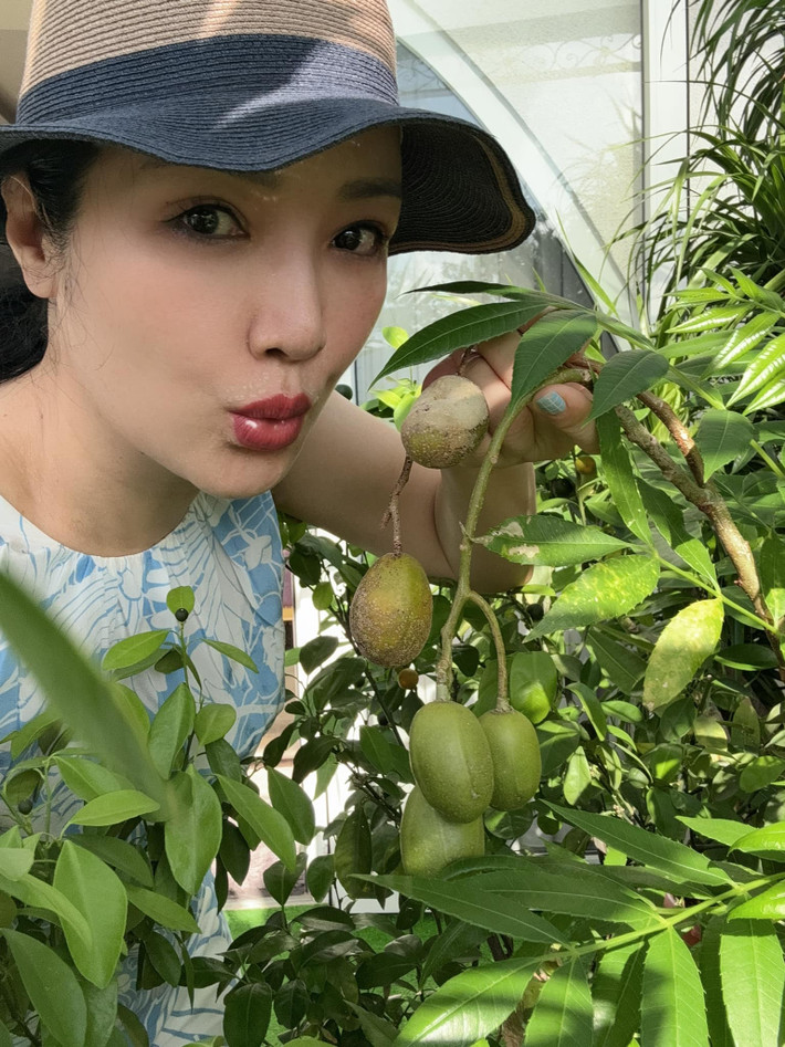 Trên tầng cao nhất, Giáng My trồng nhiều hoa và cây xanh tạo nên không gian tươi mát, nên thơ.