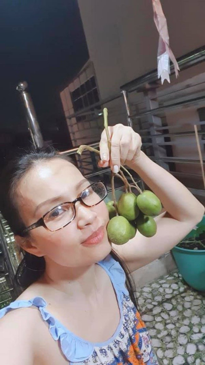 Do công việc bận rộn nên nữ ca sĩ chăm bón vườn rau sạch, cây trái vào những lúc rảnh rỗi. Có khi tối muộn, Cẩm Ly mới có thời gian thu hoạch thành quả trong vườn.