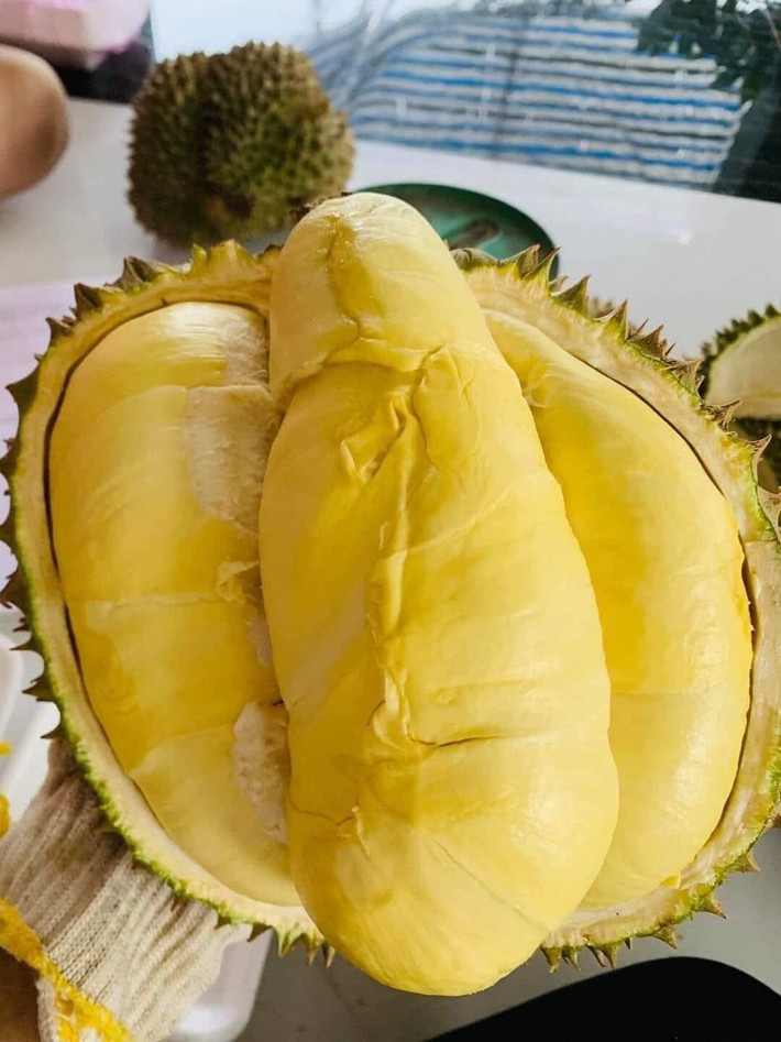 Từ khi chính thức xuất khẩu chính ngạch sang thị trường Trung Quốc vào tháng 7/2022, sầu riêng là loại trái cây có giá bán đắt đỏ, trung bình từ 140.000 - 250.000 đồng/kg.