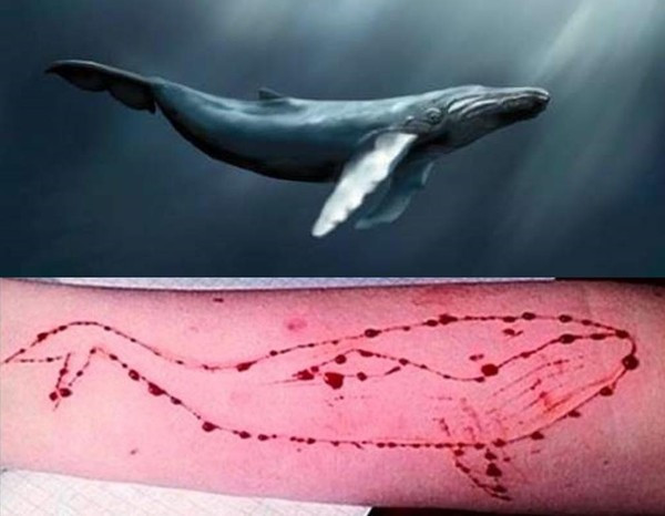 Trước đó, một trào lưu khác được đánh giá có mức độ nguy hại lớn, một thời từng được cảnh báo trên rất nhiều phương tiện truyền thông vì đã gây ra cái chết cho không ít người. Đó là Thử thách cá voi xanh (Blue Whale Challenge) xuất hiện trên Youtube.